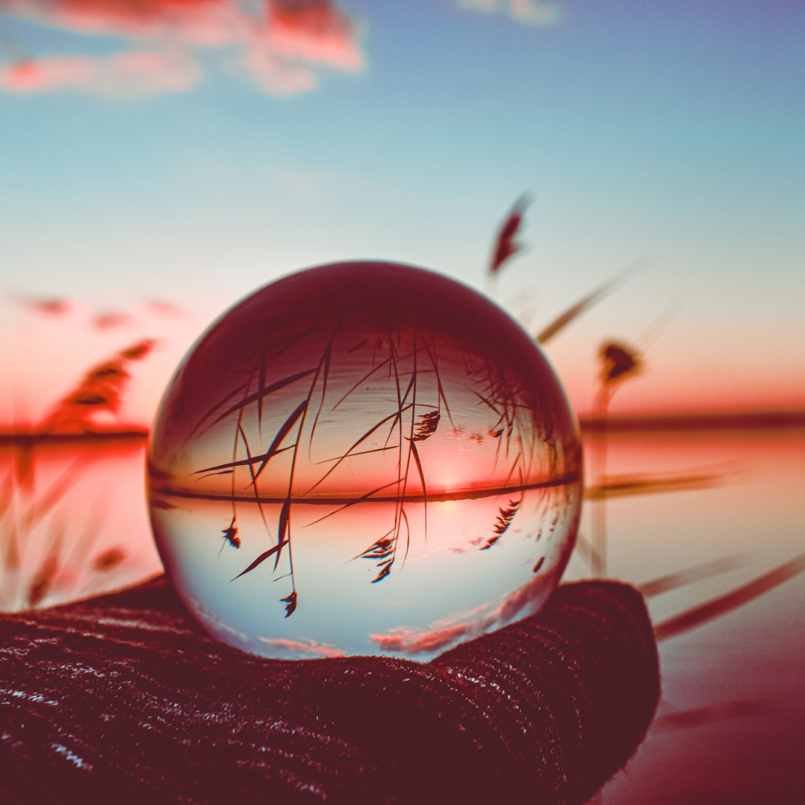 creative-crystal-lens-ball-photography-lake-with-tall-greenery-around